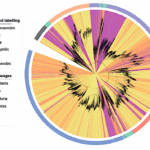 Noncanonical Genetic Markers Resolve The Pre-GOE Emergence Of Aerobic Bacteria In Earth’s History