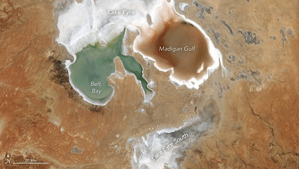 Orbital Biosignature Assay: Lake Eyre