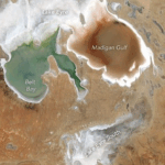 Orbital Biosignature Assay: Lake Eyre