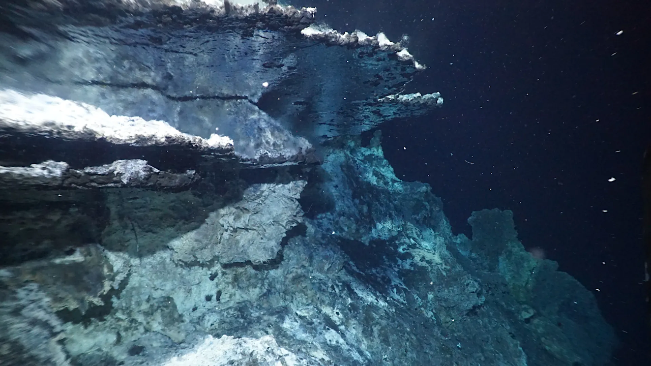 Organic Carbon In A Submarine Pressure Cooker