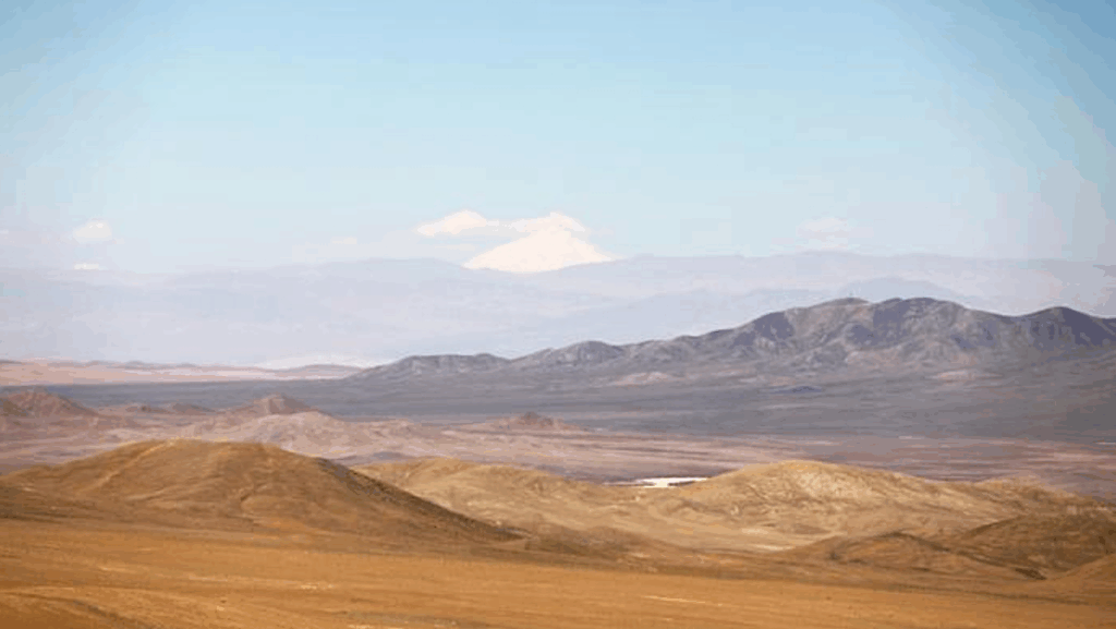 Organisms In The Atacama Desert Soil Are Remarkably Diverse