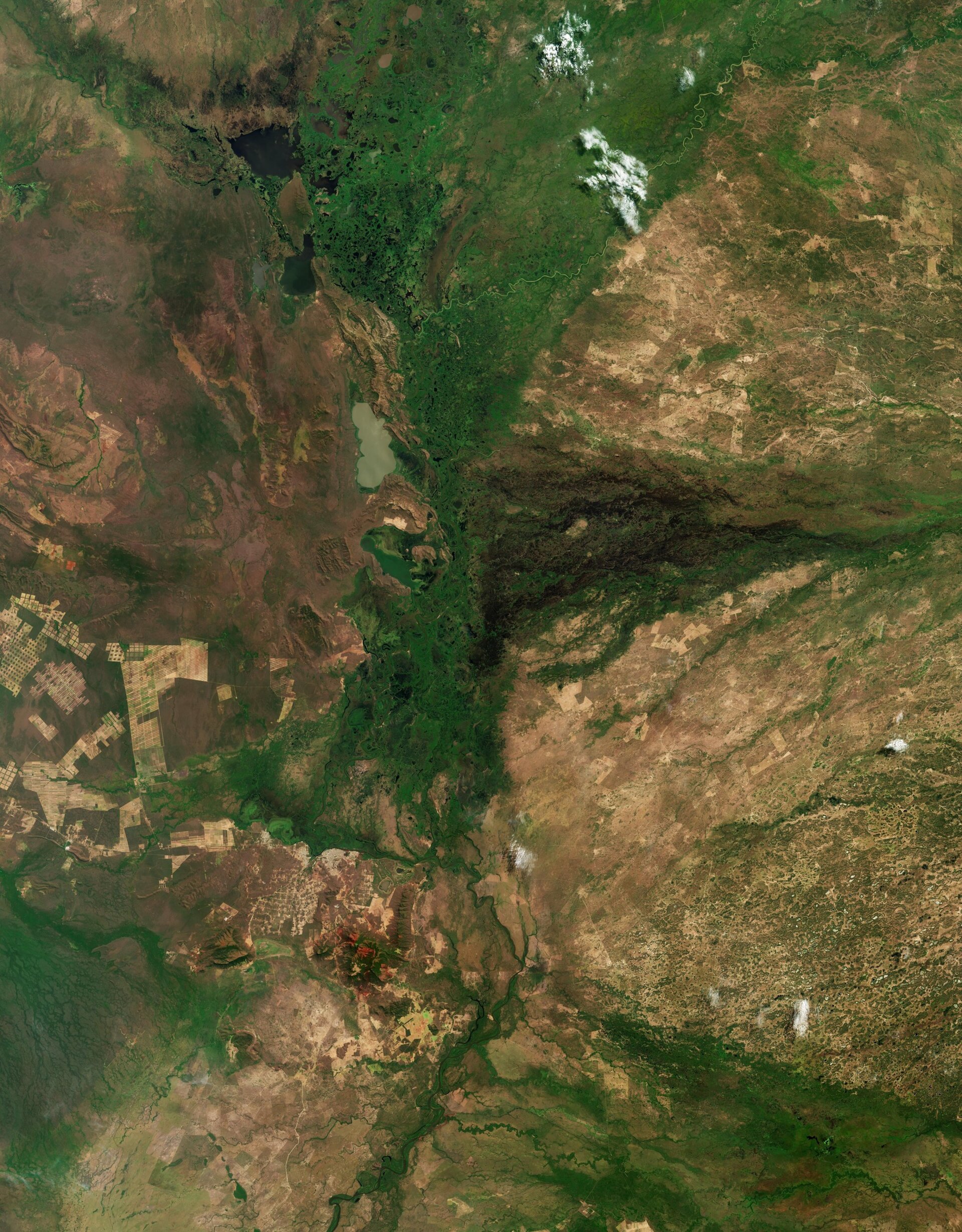 Satellite Imagery Reveals Vibrant Ecosystem and Environmental Challenges in the Pantanal