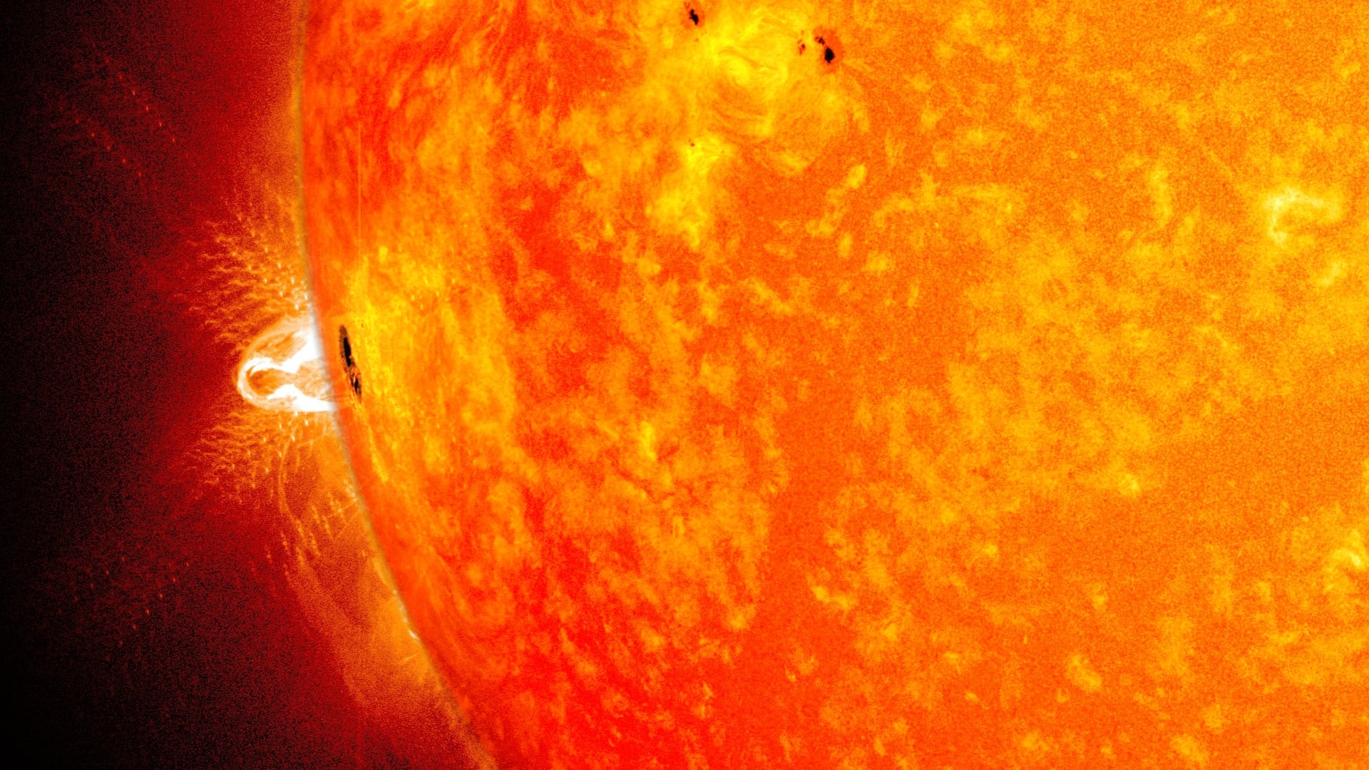 Solar Flares and Stellar Flares Hit Different