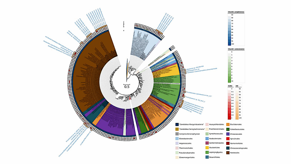 Taxonomic Description Of Uncultured Cyanobacteria From Extreme Habitats Through Genome-Based Classification