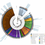 Taxonomic Description Of Uncultured Cyanobacteria From Extreme Habitats Through Genome-Based Classification