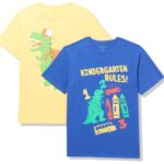 The Children's Place Boys Gamer,Sports,Cars Short Sleeve Graphic T-Shirts,2 Pack