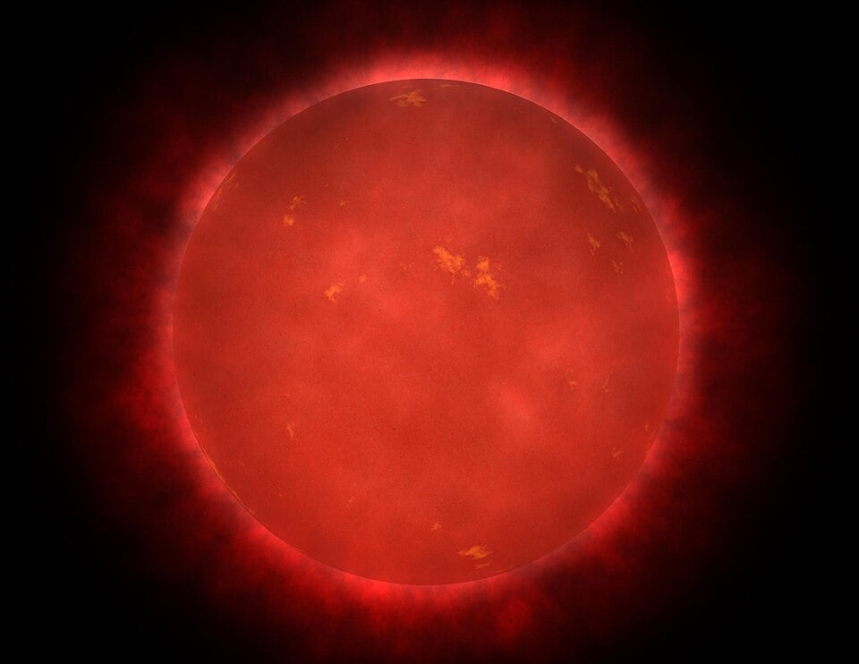 The Sun's Red Dwarf Neighbors Provide Clues to Origins of Carbon and Oxygen