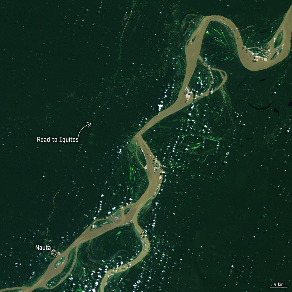 Tiny patches of deforestation drive tropical carbon loss