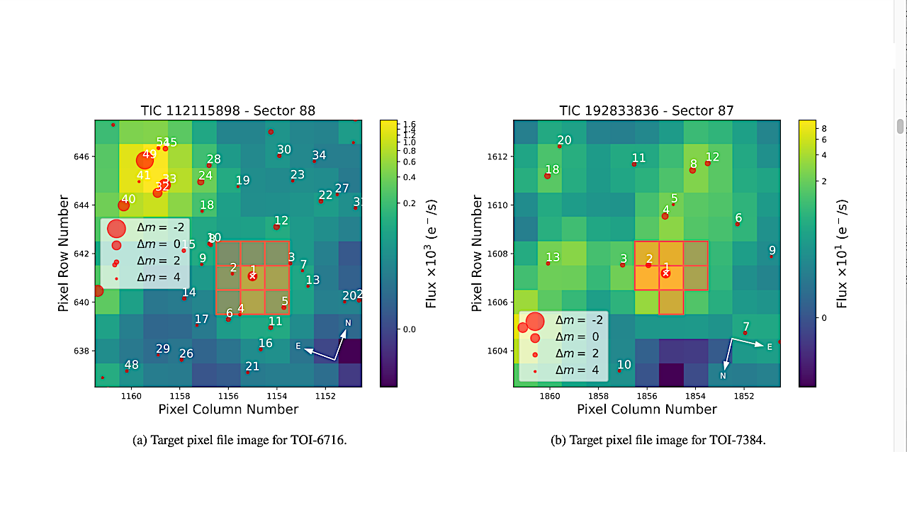 Two Temperate Earth- and Neptune-sized Planets Orbiting Fully Convective M dwarfs