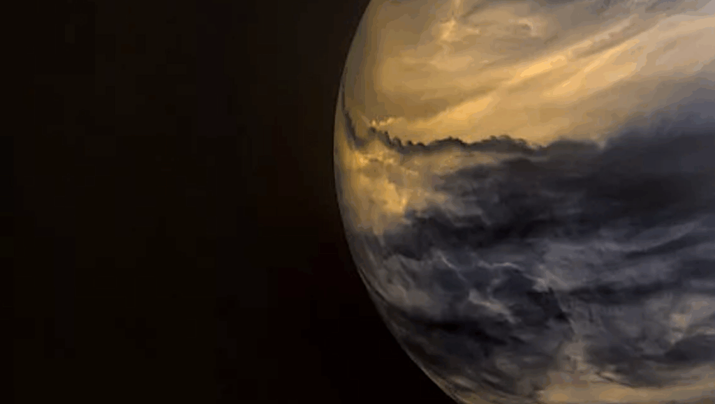 Vertically Resolved Minimal-set k-distribution For Thermal Infrared Absorption In The Venus Atmosphere