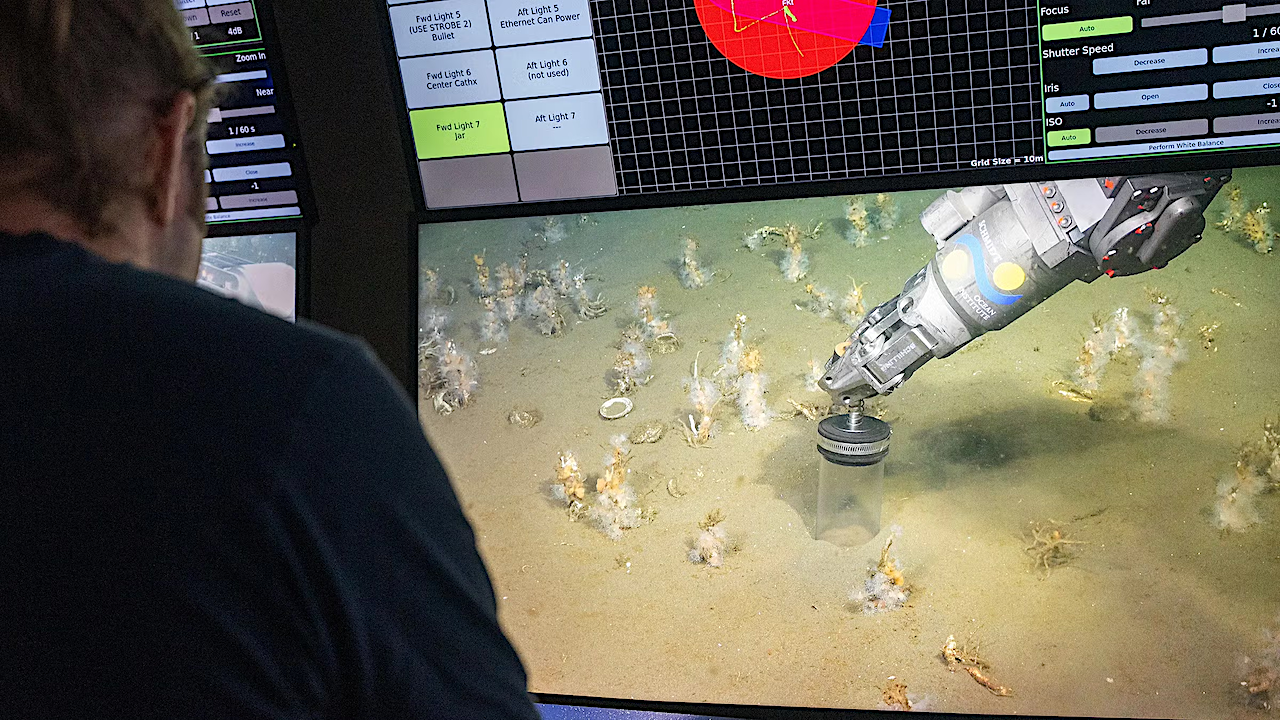 A Break In A Longstanding Mystery About The Origin Of Complex Life