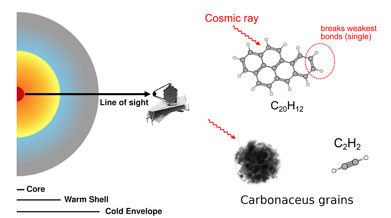 Abundant Hydrocarbons In A Buried Galactic Nucleus With Signs Of Carbonaceous Grain And Polycyclic Aromatic Hydrocarbon Processing