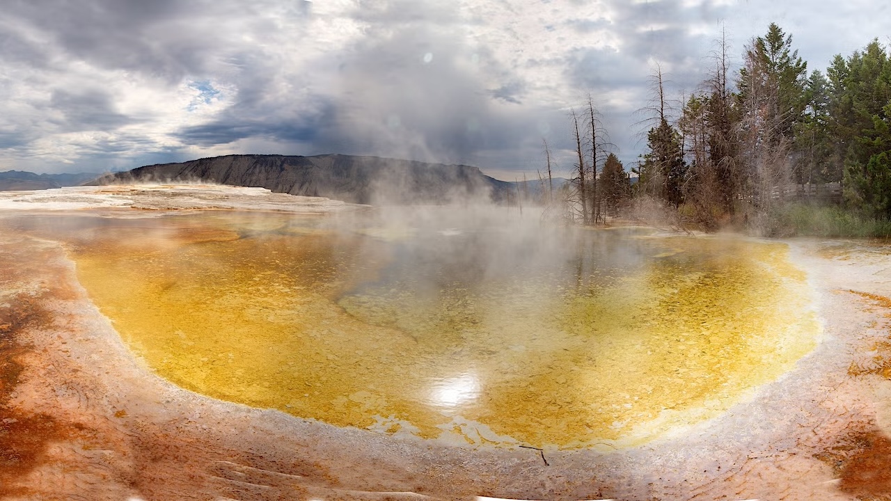 Astrobiologists Search For Alien Life And Help Life On Earth In The Process