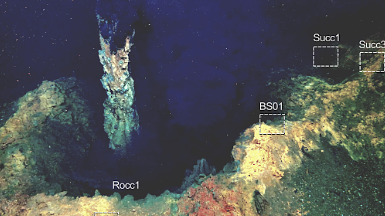 Aurora Vent Field Is A Hotspot For Microbial Hydrogen Oxidation In The Arctic Ocean