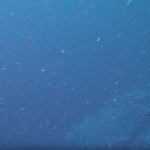 Deep-sea Microbes Get An Unexpected Energy Boost