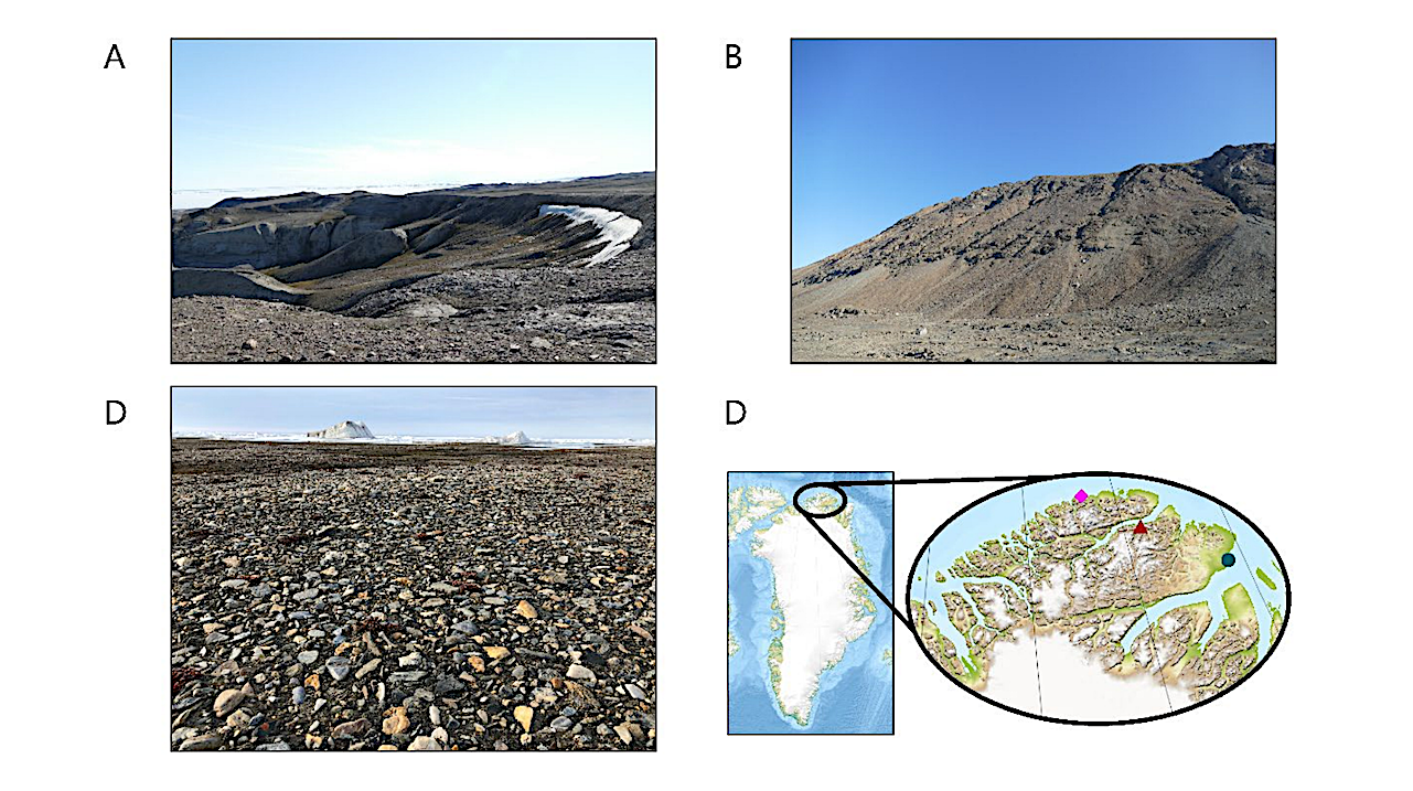 Genomic Adaptations Of Novel Halotolerant Bacteria From Extreme North Greenland
