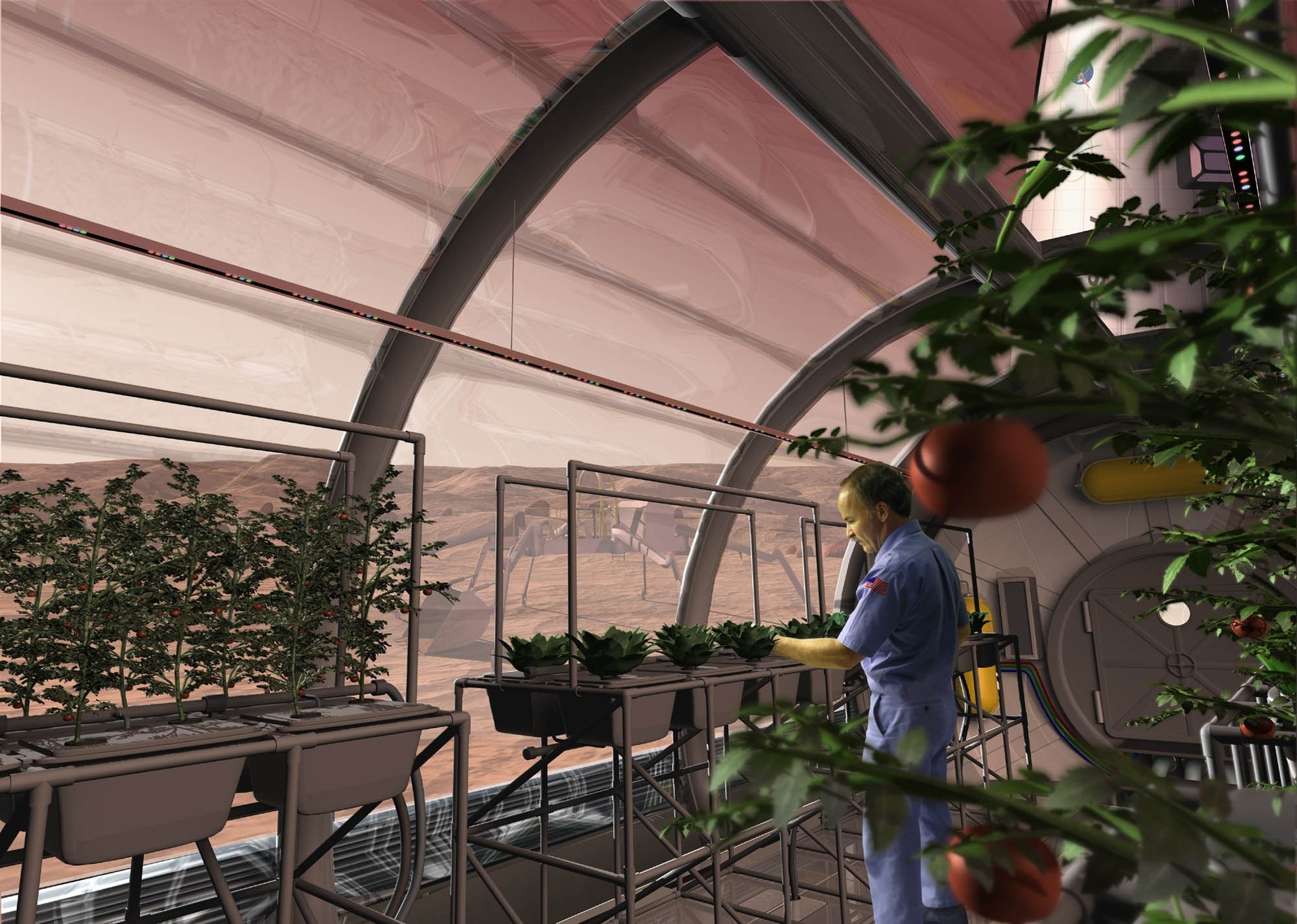 Growing Future Meals in Space Will Require Human Waste