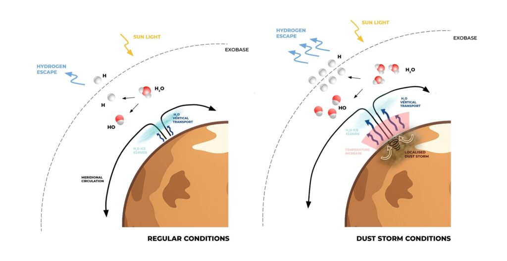 How a Single Martian Storm Triggered Massive Water Loss