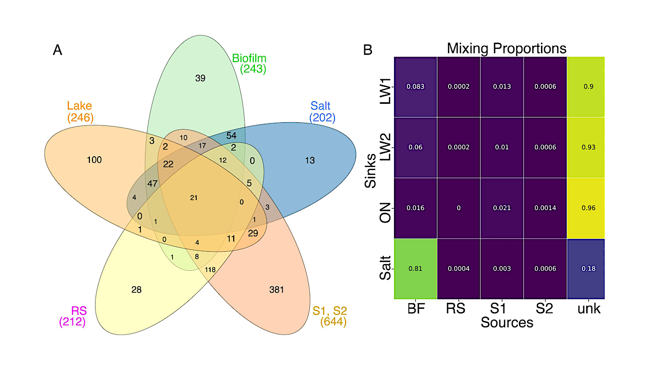 Microbial Communities Of Selected Regions Of The Deep Springs Lake Aquifer System