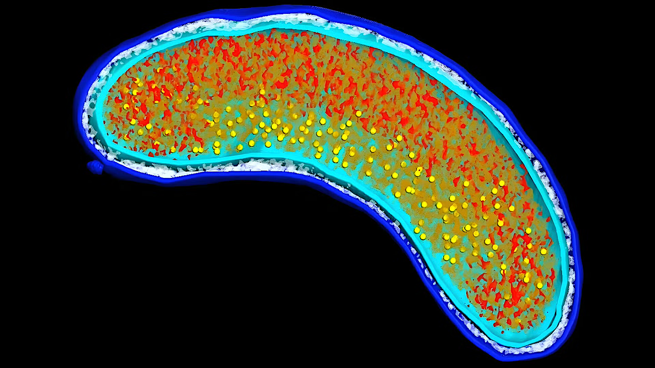 One Of Earth’s Most Abundant Organisms Is Surprisingly Fragile