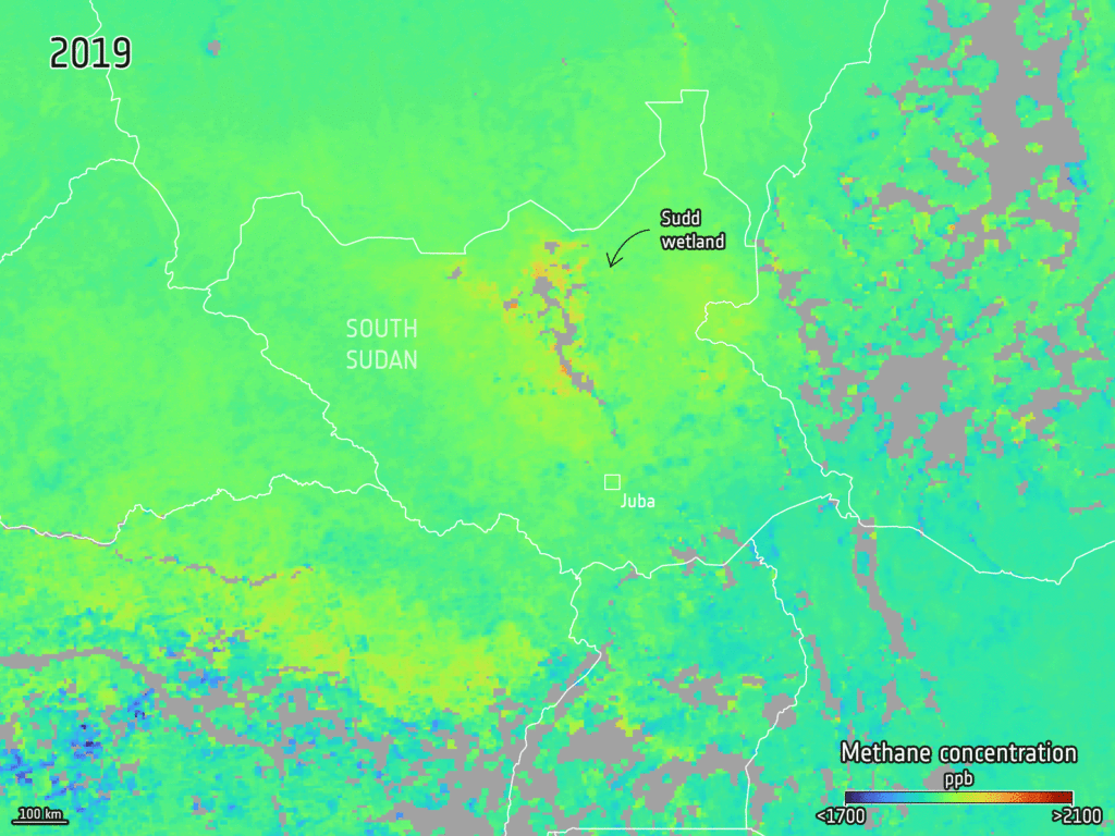 Pandemic-driven changes reveal new insights into global methane fluctuations and climate impact