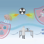 Radioprotection Redefined: Drug Discovery At The Intersection Of Tardigrade Biology And Translational Pharmacology