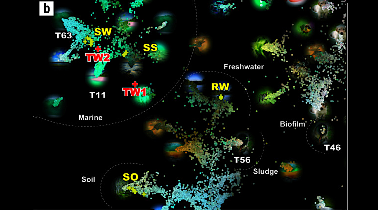 Studying Bacteria That Live Inside A Damaged Radioactive Nuclear Power Station