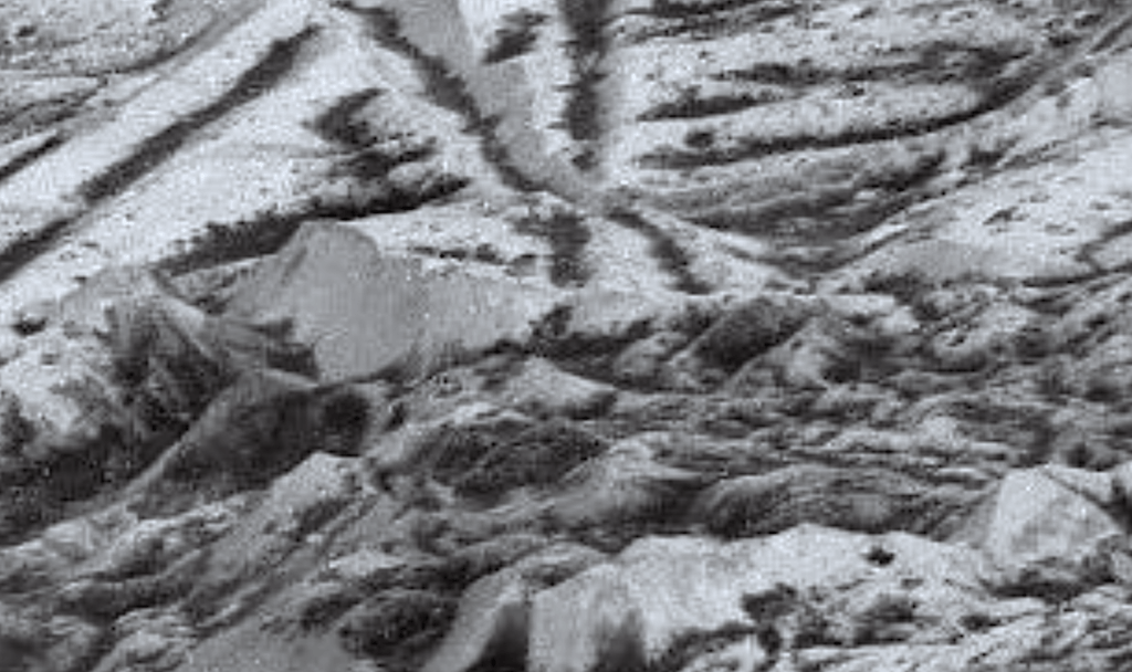 Survival Limits Of Psychrotolerant Microorganisms With Relevance For Planetary Protection Of The Icy Moons