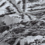 Survival Limits Of Psychrotolerant Microorganisms With Relevance For Planetary Protection Of The Icy Moons