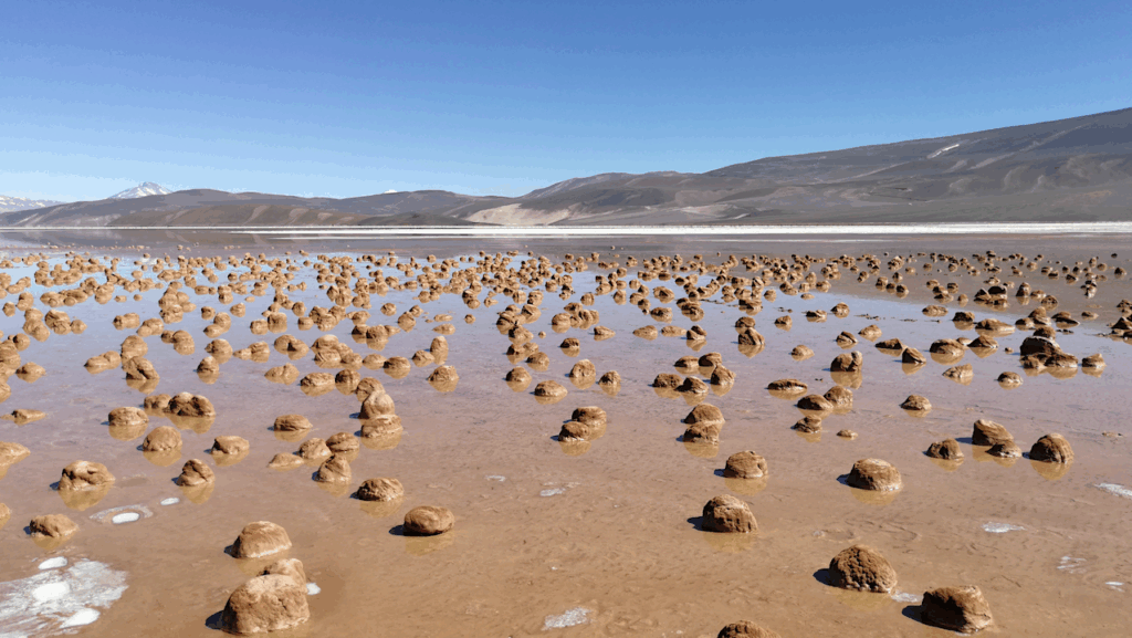 The Genesis Project On The Origin Of Life Becomes A National Centre Of Competence In Research