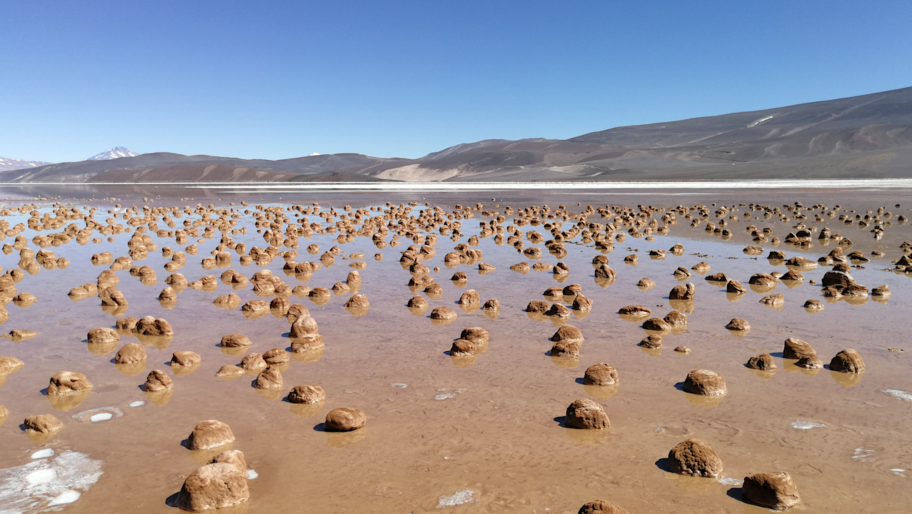 The Genesis Project On The Origin Of Life Becomes A National Centre Of Competence In Research