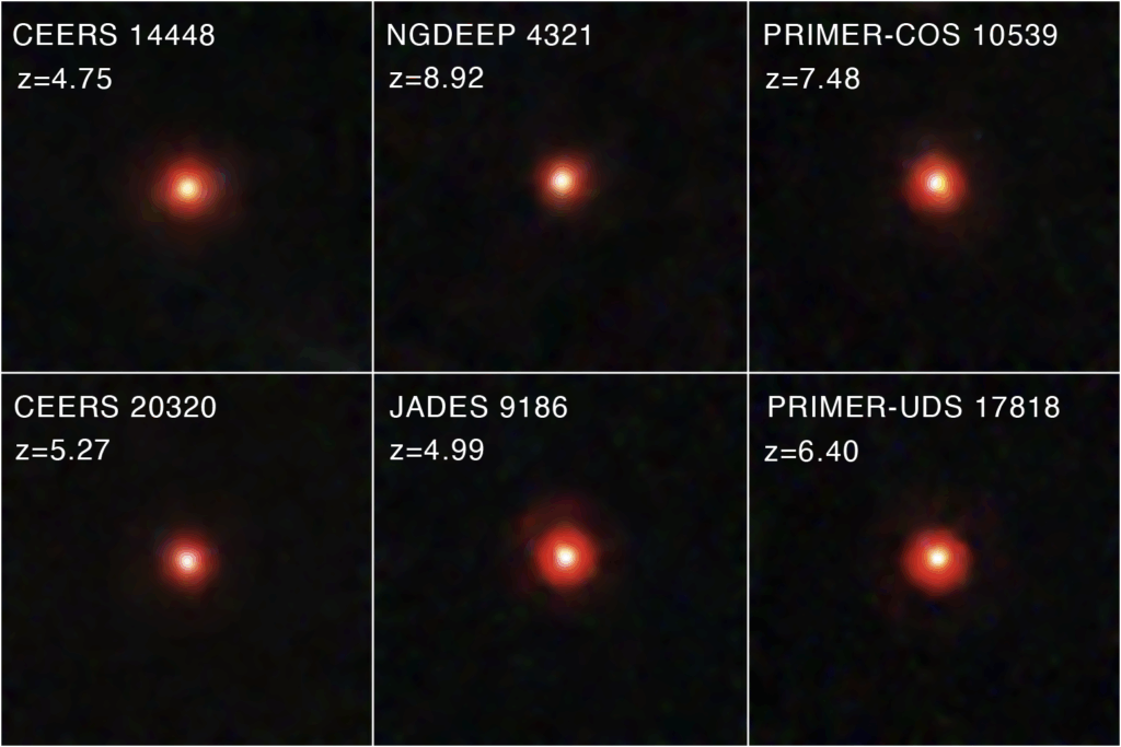 The "Little Red Dots" Observed by Webb Were Direct-Collapse Black Holes