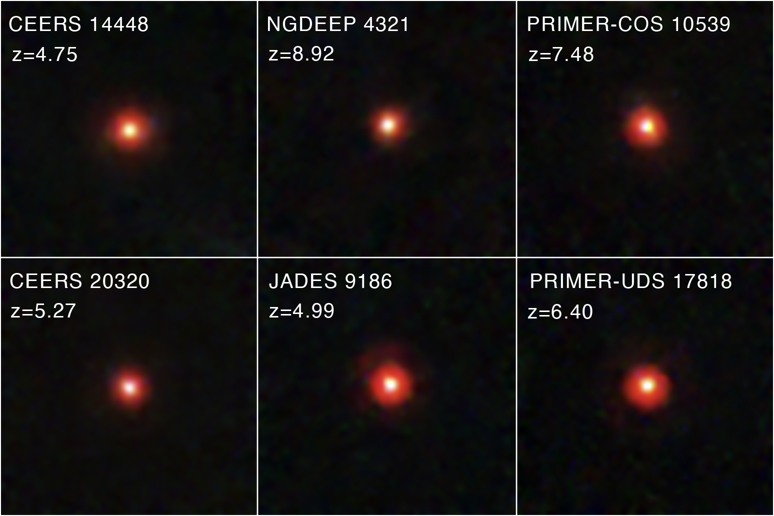 The "Little Red Dots" Observed by Webb Were Direct-Collapse Black Holes