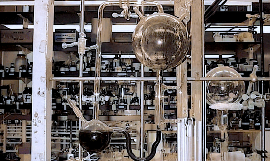 Theoretical Perspective On Synthetic Life: Learning From The Origin Of Life