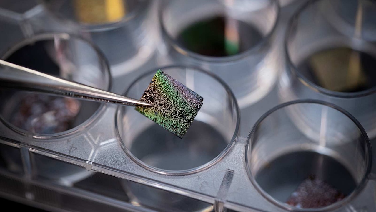 This Student Made Cosmic Dust In Her Lab. What She Found Could Help Us Understand How Life Started On Earth