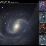 This Supernova Progenitor Hid Behind a Surprisingly Thick Veil of Carbon Dust