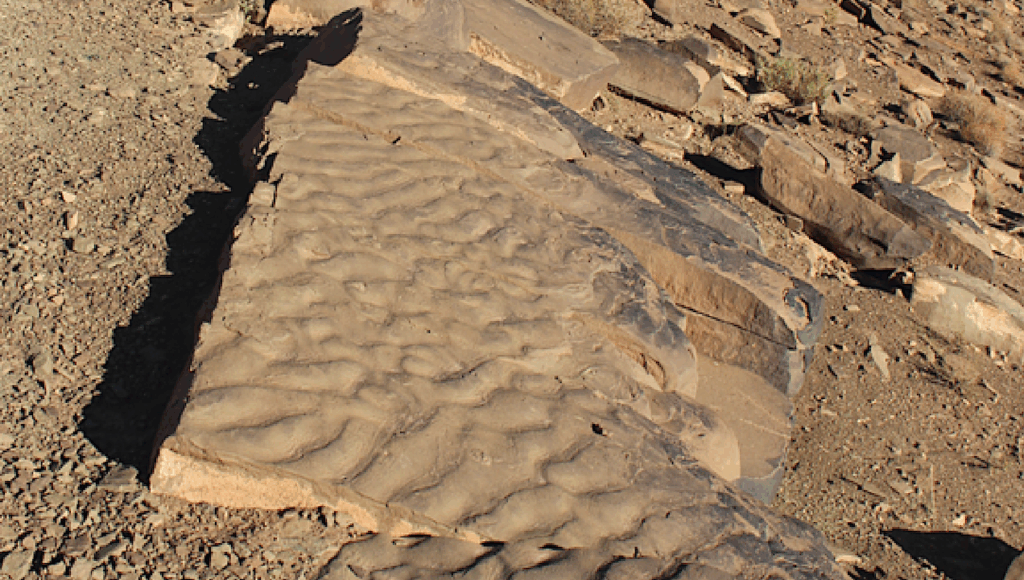 Wrinkly Rocks May Actually Be A Fossilized Microbial Community