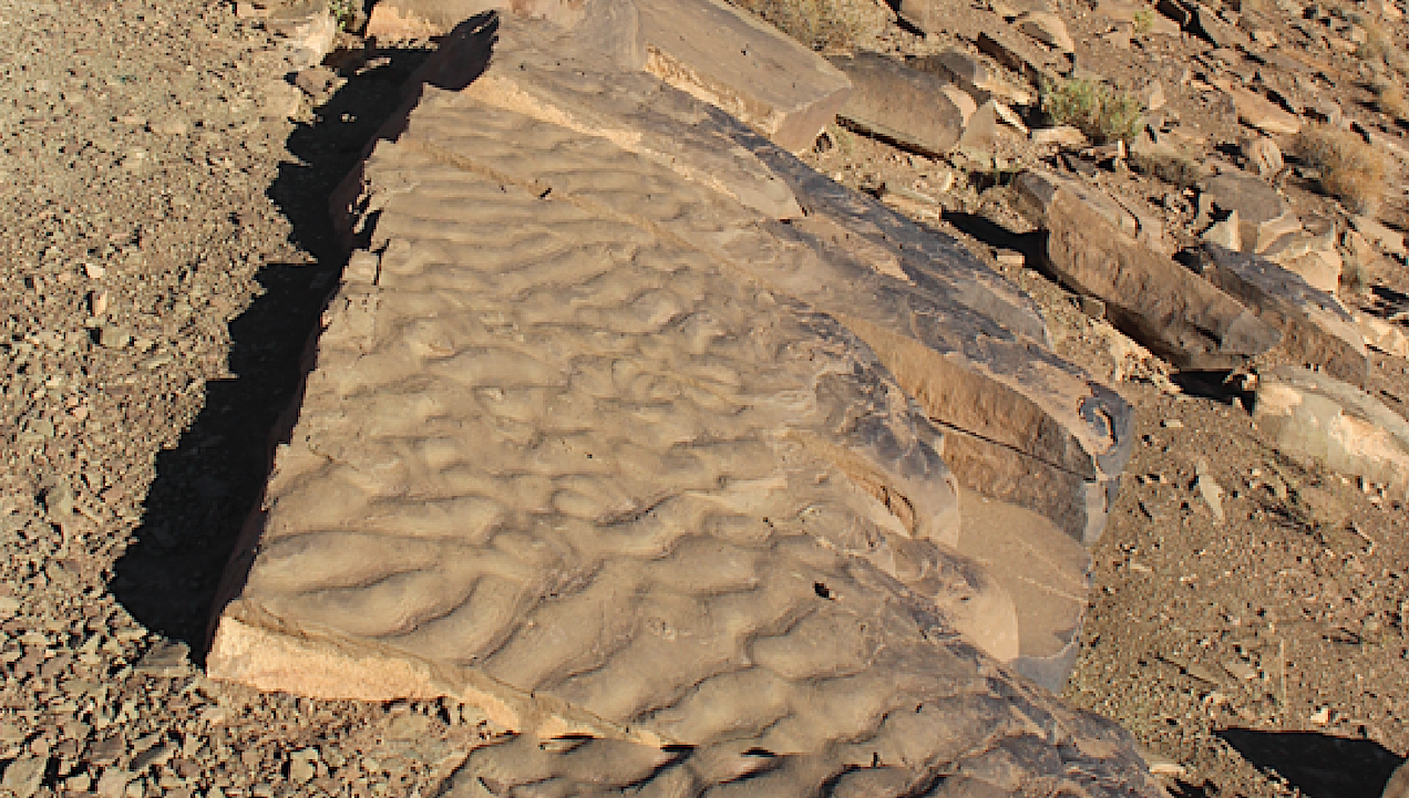 Wrinkly Rocks May Actually Be A Fossilized Microbial Community