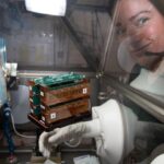 An astronaut’s tiny stand-in: tissue chips in space health