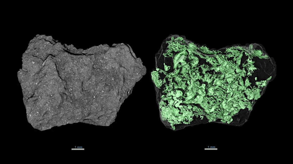 Asteroid Bennu’s Rugged Surface Baffled NASA. We Finally Know Why