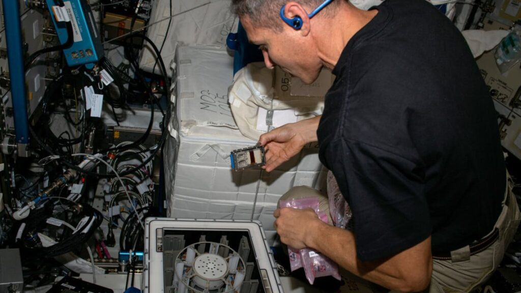Astronauts Use Bacteria and Fungi to Harvest Metals in Space
