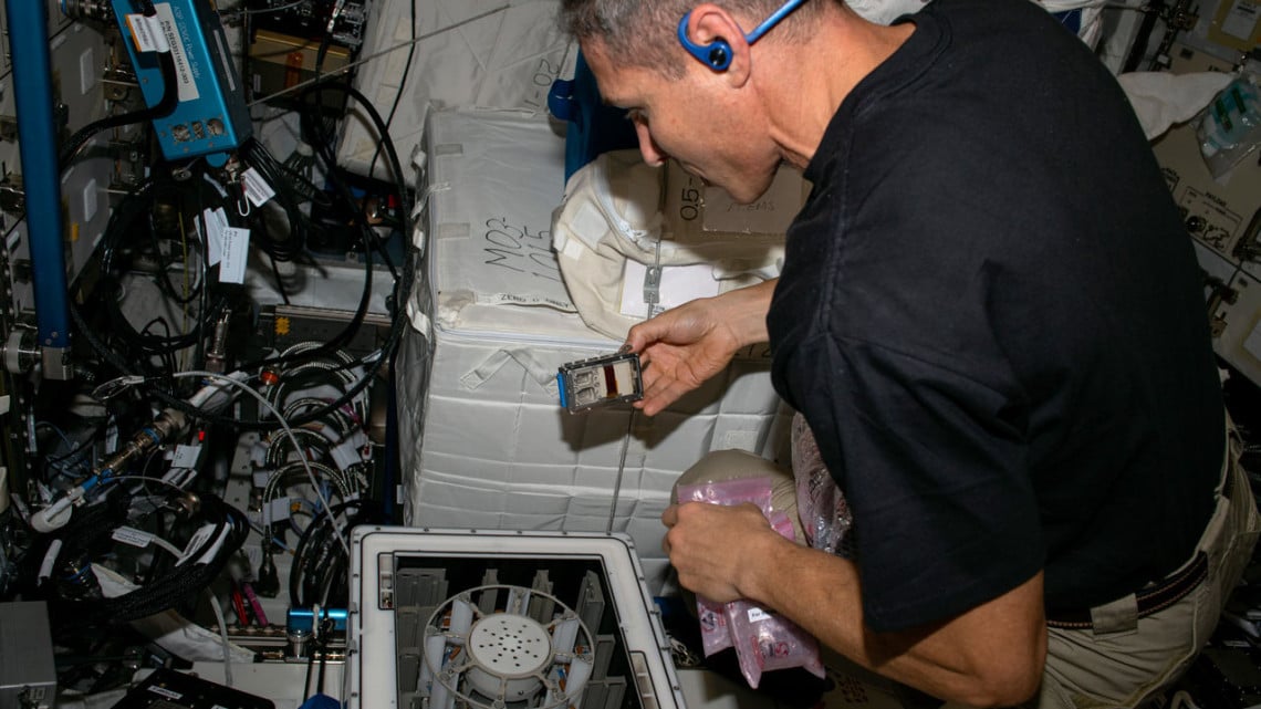 Astronauts Use Bacteria and Fungi to Harvest Metals in Space