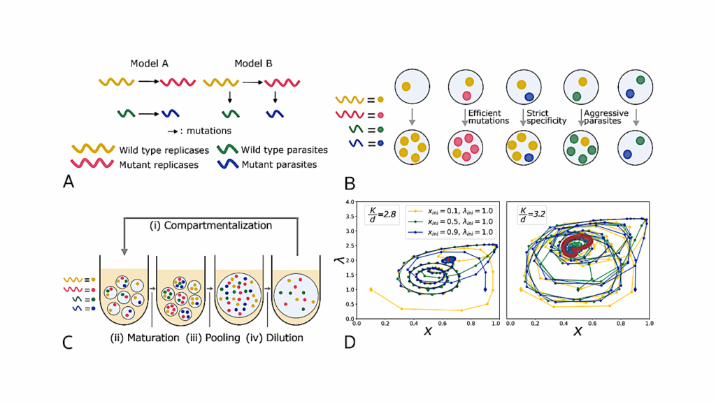 Compositional Memory Matters For Early Molecular Systems