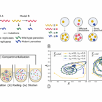 Compositional Memory Matters For Early Molecular Systems