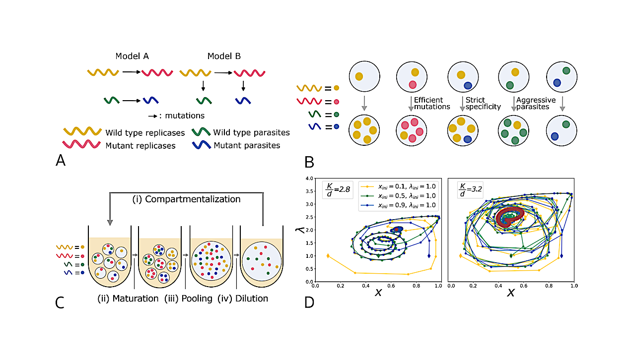Compositional Memory Matters For Early Molecular Systems
