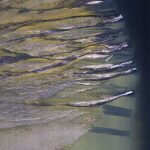 Defrosting Dunes in Kaiser Crater On Mars