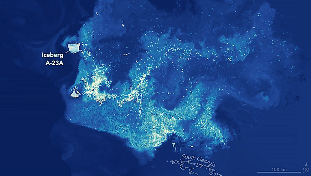 Erosion Of Iceberg A-23A Sparks A Surge Of Microscopic Life