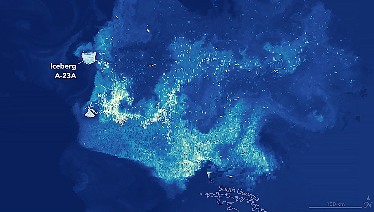 Erosion Of Iceberg A-23A Sparks A Surge Of Microscopic Life