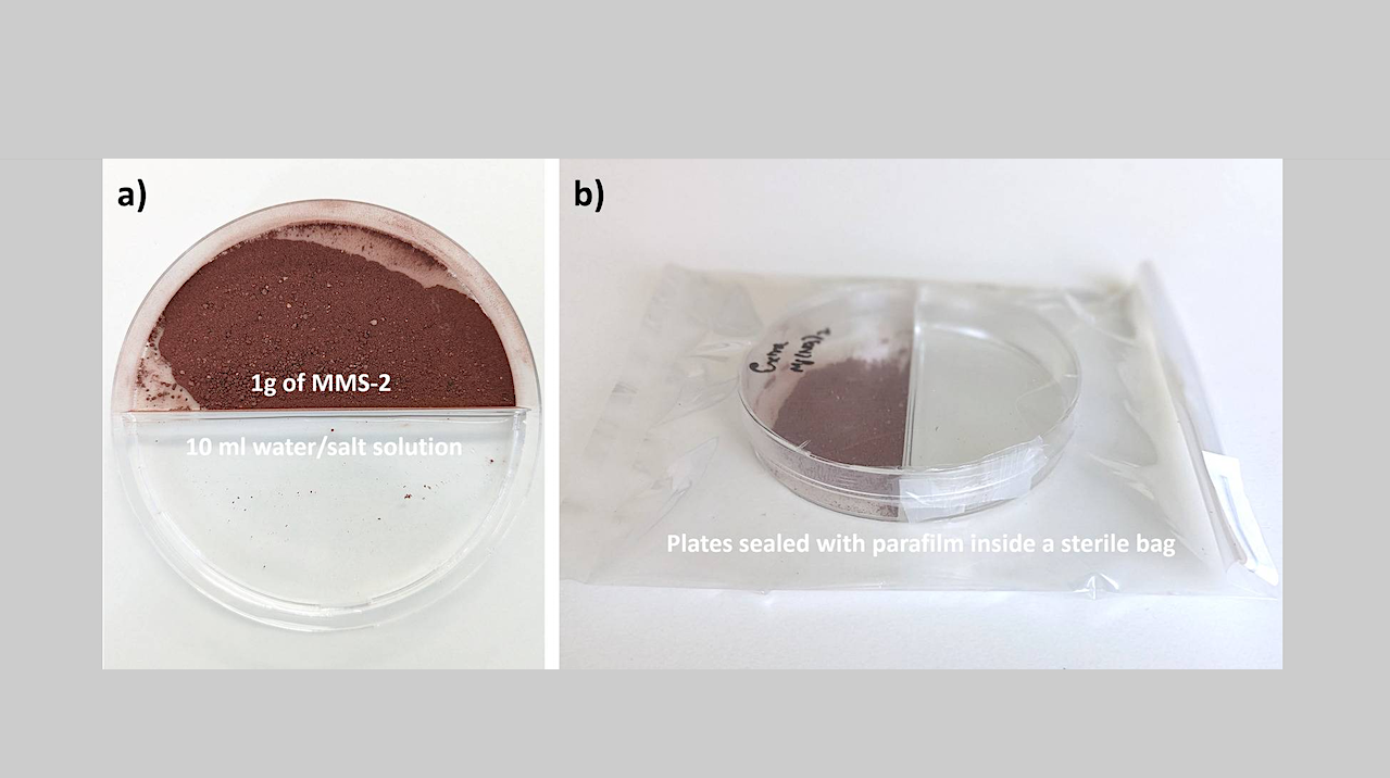 Growth Of Microorganisms In A Martian Regolith Simulant At Reduced Water Activity