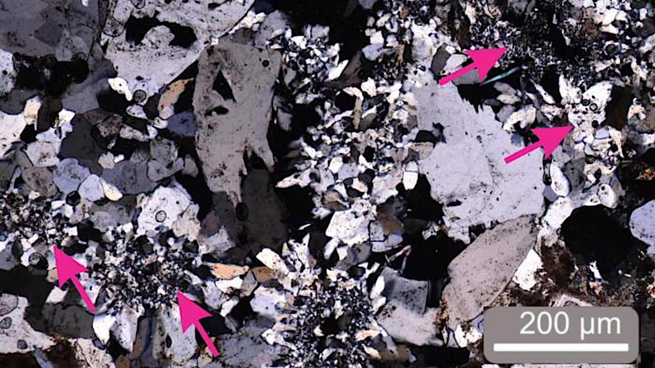 Gypsum Sustains Microbial Life Under Extreme Conditions – This Could Help Us Study Mars